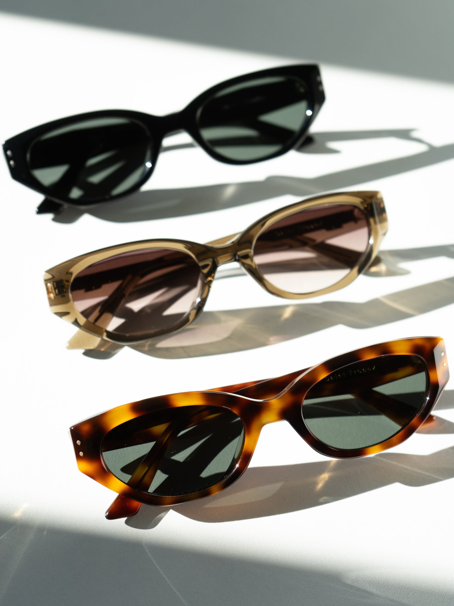 Saint Tropez Tortoiseshell