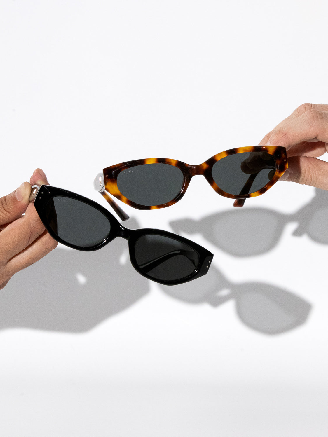 Saint Tropez Tortoiseshell