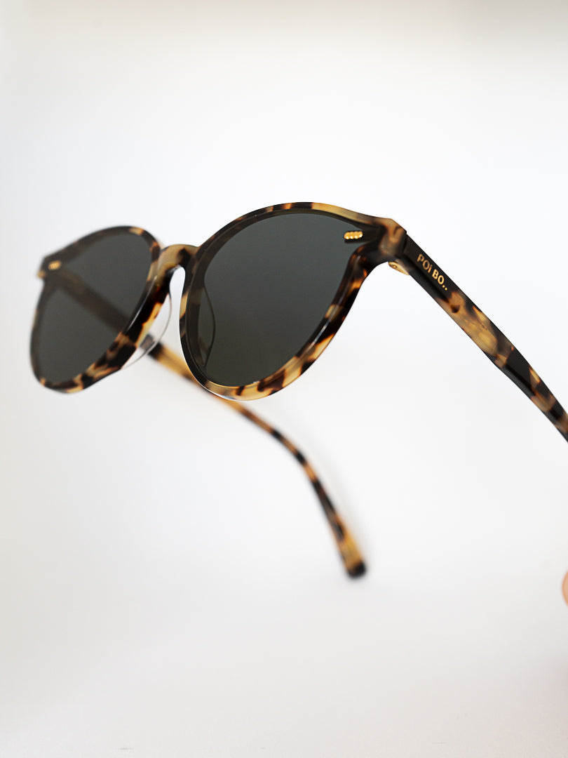 Bondi Tortoiseshell