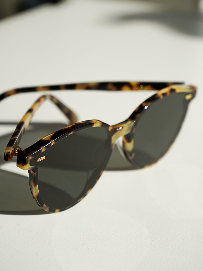 Bondi Tortoiseshell