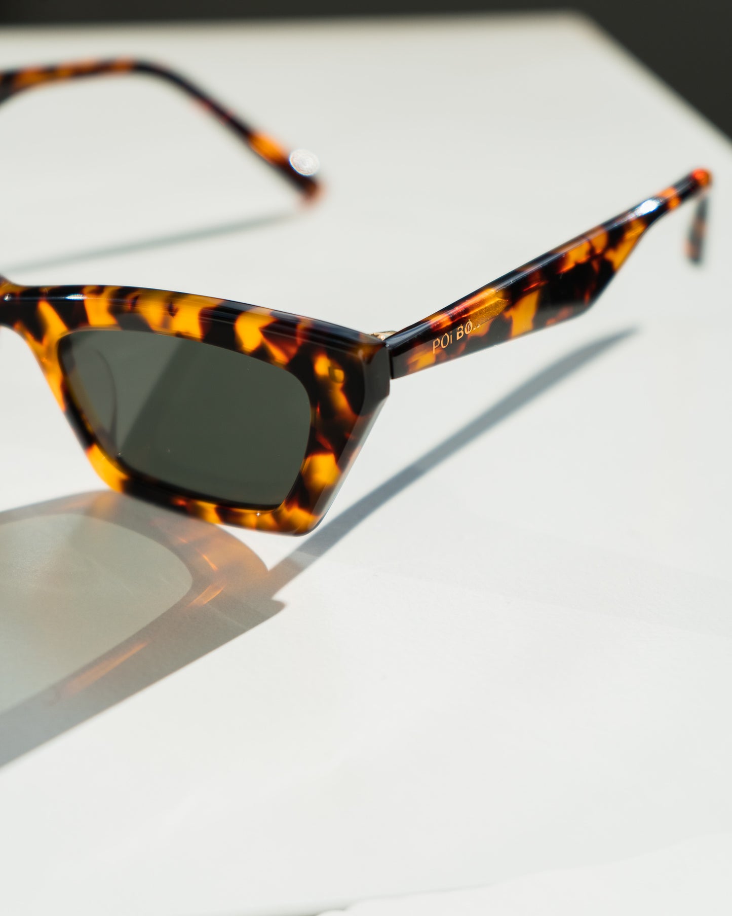 Bold Tortoiseshell